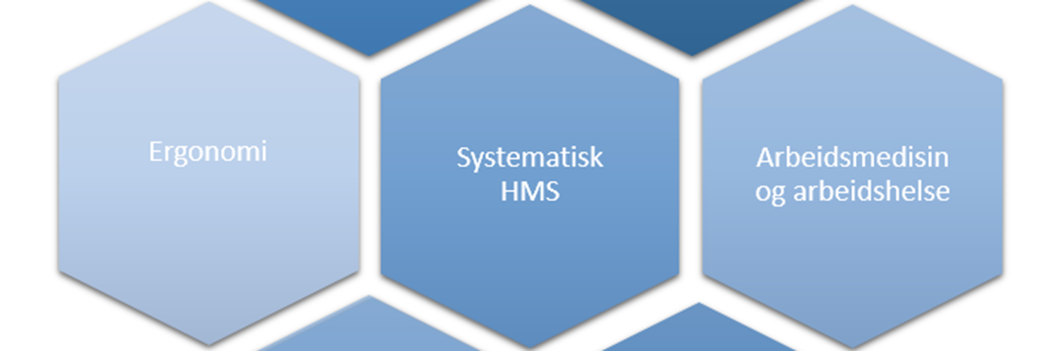 Fokusområder for HMS handlingsplan